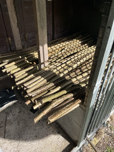 Hazel shafts seasoned - ,