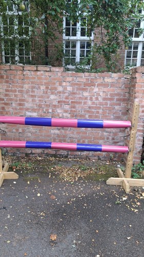 Equestrian horse jump pole - horse,