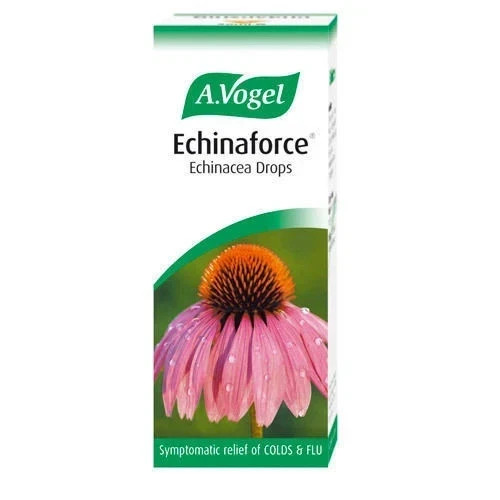 Echinaforce echinacea immune - echinacea,