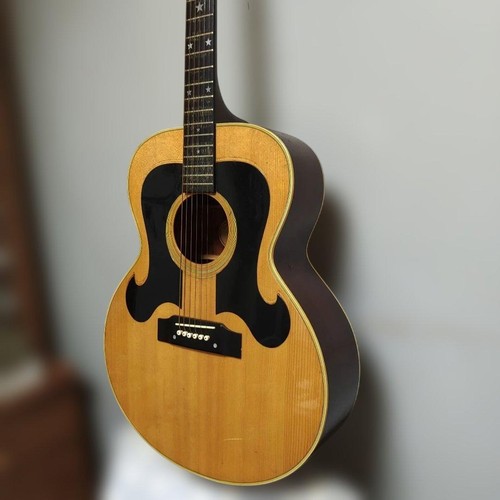 Morris acoustic guitar - morris,