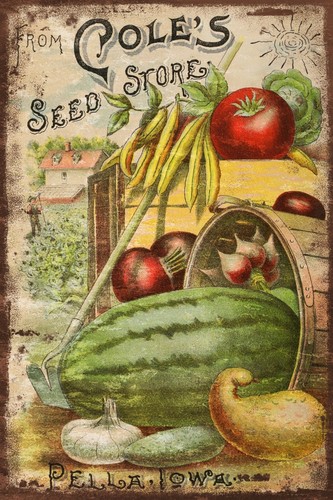 Coles vegetable seed - coles,