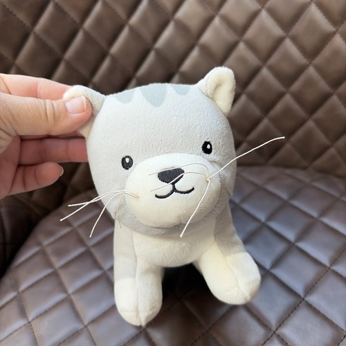 Home kitten cat grey white - home,
