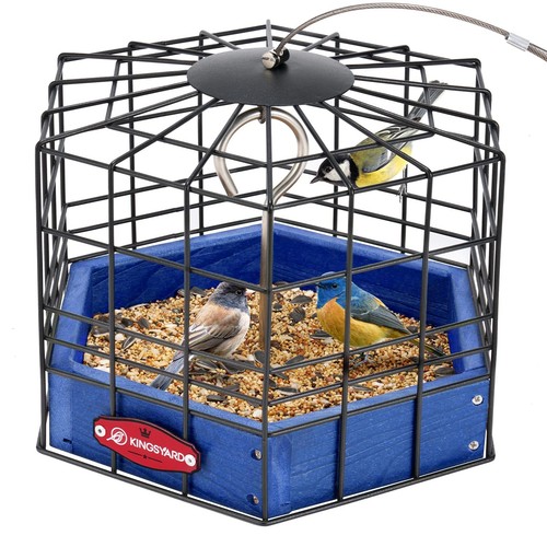 Bird feeder squirrel proof - feeder,