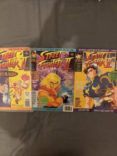 Street fighter manga - fighter, ii