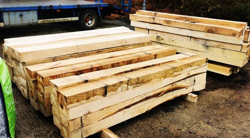 Sweet chestnut sleeper rot - sweet,