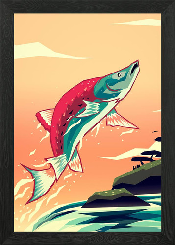 Salmon leaping home - , framed