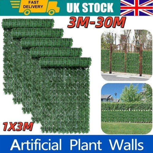 Artificial hedge privacy ivy - hedge,