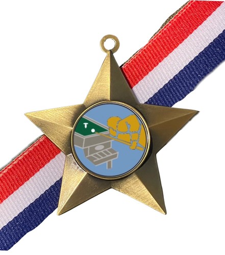 Bar billiards award - billiards,