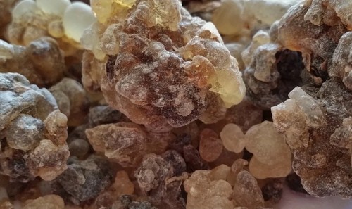 Frankincense organic premium - organic,