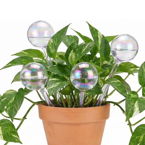 Set glass watering globes - glass,