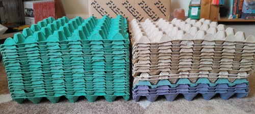 Egg trays x36 - egg, of