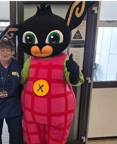Bing mascot costume - bing,