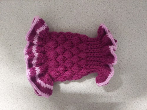 Hand knitted dog jumper - , with