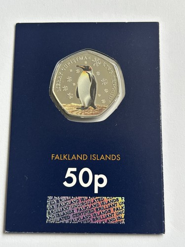 Falkland islands 2024 penguin - falkland,
