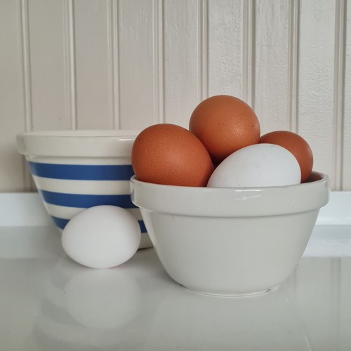 Duo vintage pudding - bowls,