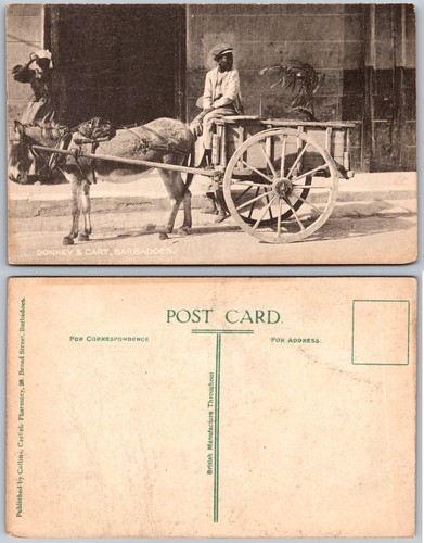 Donkey cart barbados - donkey,