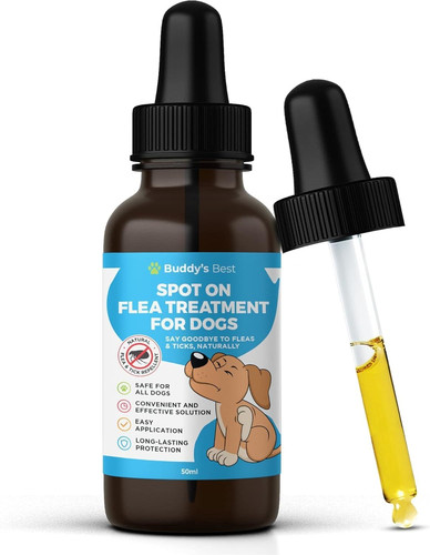 Natural flea tick repellent - tick,
