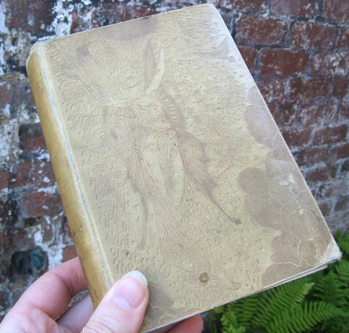 1894 the yellow - yellow, book-