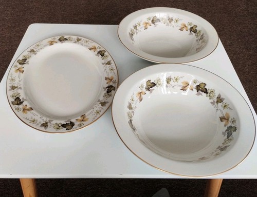 Royal doulton larchmont tc1019 - larchmont,