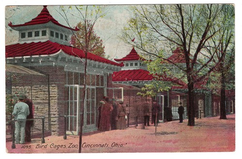 Zoo bird cages - bird,
