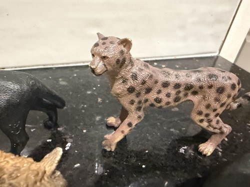 Plastic pig boar - &, animal