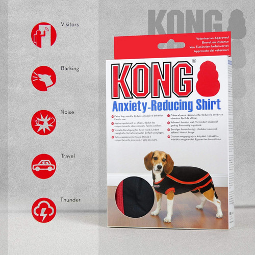 Kong dog anxiety - kong,