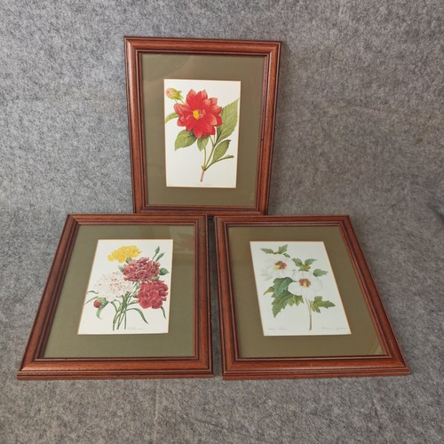 Framed glazed vintage - 3x,