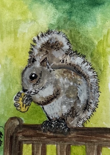 Aceo original watercolour - original,