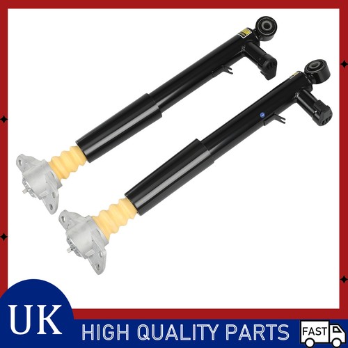 Rear shock absorber struts - rear,