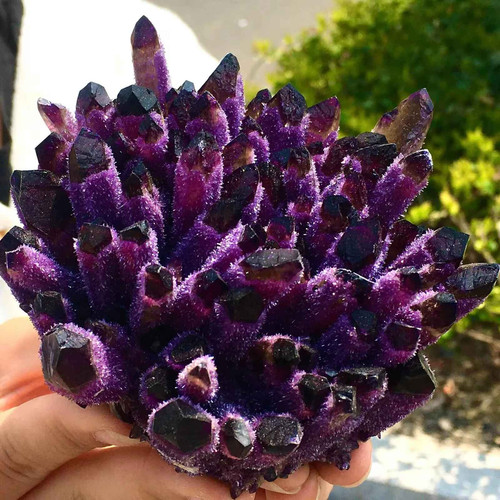 Natural violet ghost phantom - natural,