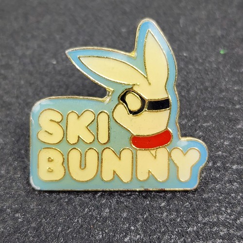 Vintage ski pin enamel - pin, "ski