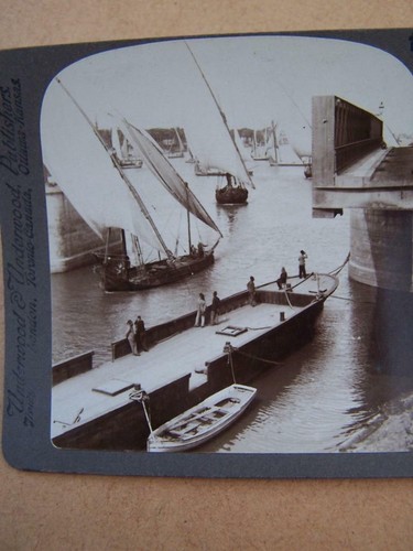 Stereoscopic stereo view - stereoscopic, stereo-view