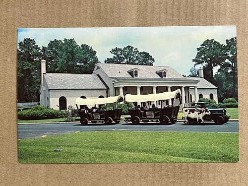 Postcard white springs - white,