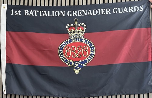 1bn grenadier guards x - guards, 5’