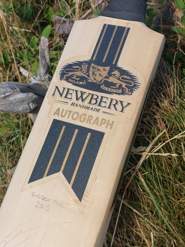 Rare newbery cricket - rare,