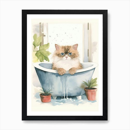 Himalayan cat bathtub - himalayan,