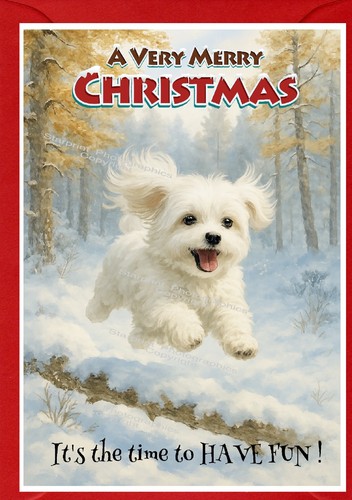 Maltese dog - maltese, (4"x