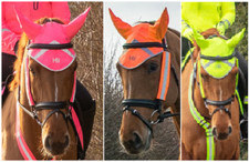 Hy Equestrian Reflector Ear