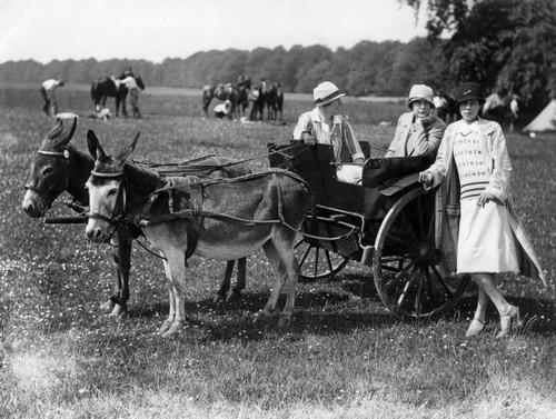 Women two donkey powered - donkey,