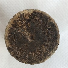 Collins & Sons Newcastle old antique vintage soda ginger beer bottle stopper