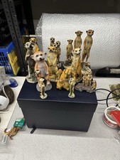 A Large Group Of Meerkat