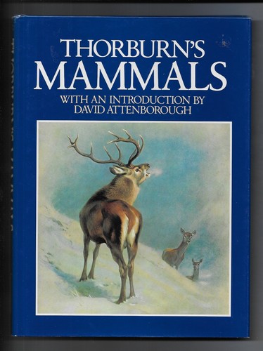 Thorburn mammals lots - mammals,