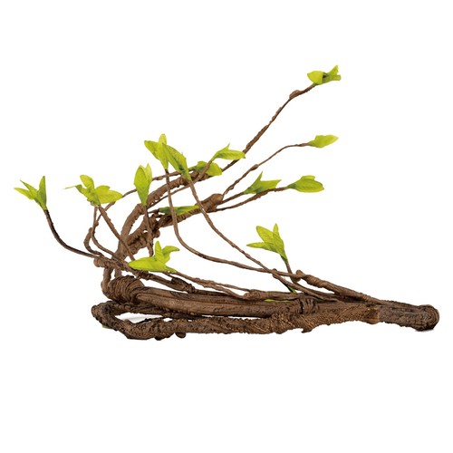 Reptile natural look - reptile,