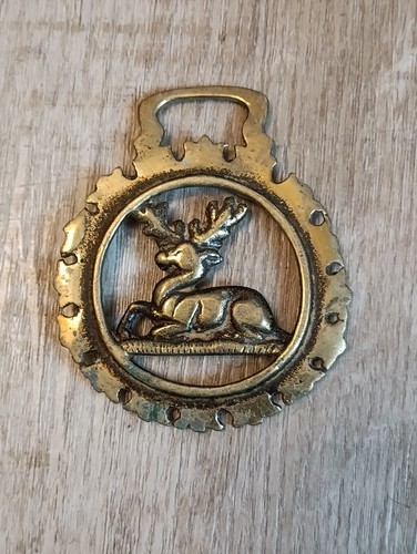 Large selection horse brass - large, of