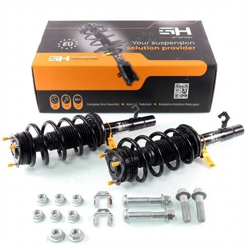 Complete struts assembly - complete,