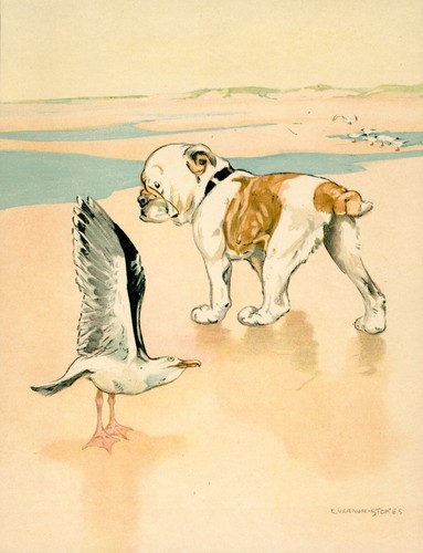 Bulldog blobbs and sea - blobbs,
