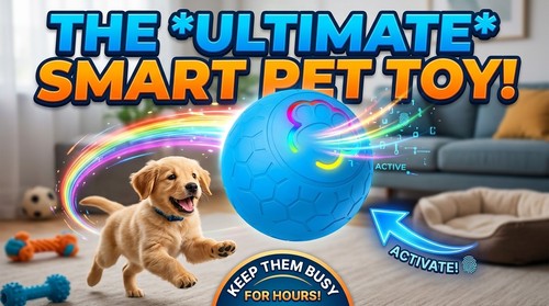 Interactive dog toy - interactive, ball