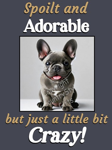 French bulldog frenchie - french,