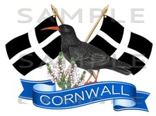 Cornwall, Cornish Chough