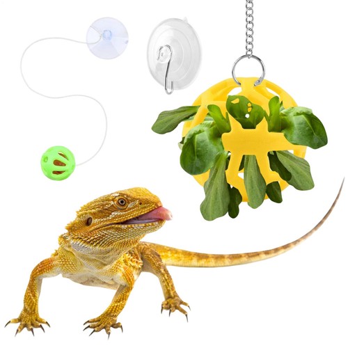 Bearded dragon toys suction - bearded,